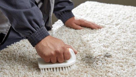 Professional Rug Cleaning Rippleside